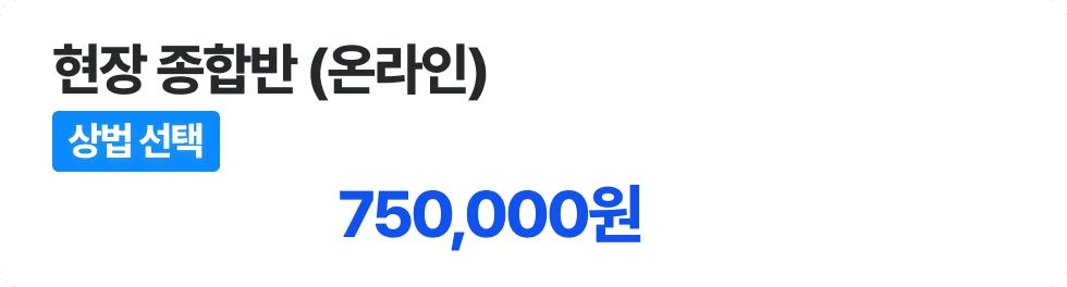 현장 종합반 온라인 - 상법 선택