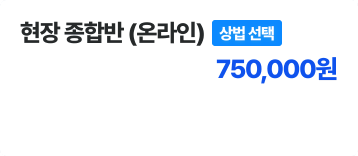 현장 종합반 온라인 - 상법 선택